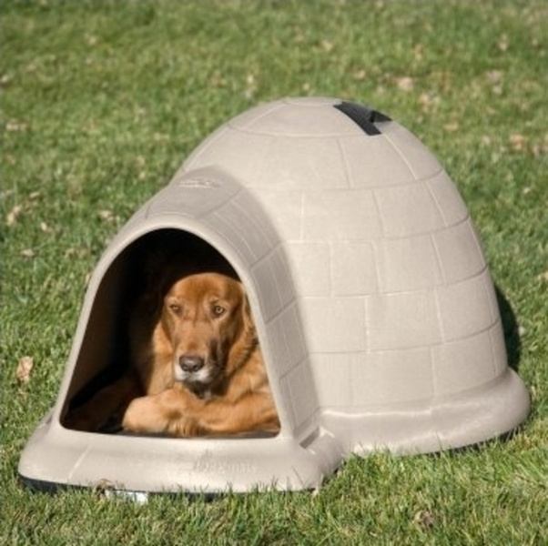 medium dog igloo